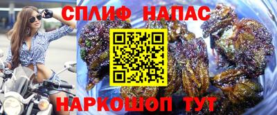 бошки Краснознаменск